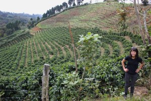 Dogwood coffee buyer Stephanie Ratanas in the field. Photo by Eliesa Johnson for the Daily Coffee News.