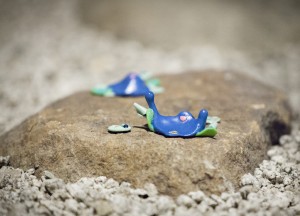 The sploots on the stones outside the Japanese teahouse.