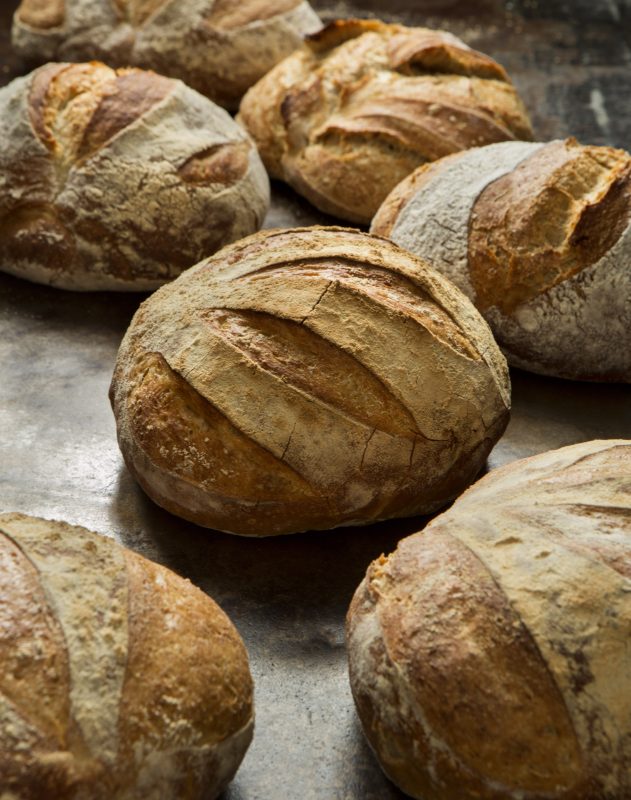 Boules of bread by Twin Cities breadmakers and authors Jeff Hertzberg and Zoe Francois. Photo credit: Stephen Scott Gross.