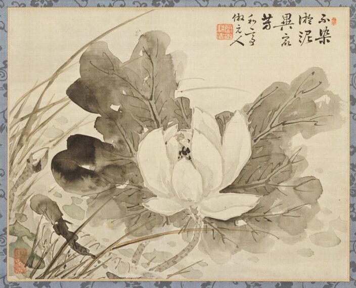 black and white ink print of a white flower with leaves and long blades of grass