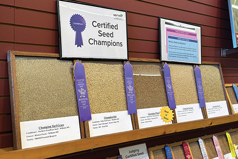 Wall display of different seeds with ribbons attached at the side