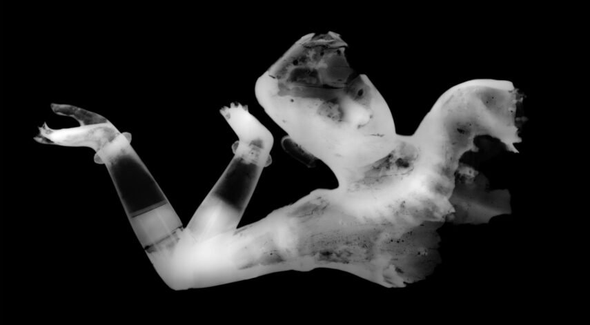 x-ray image of the Vishnu bust