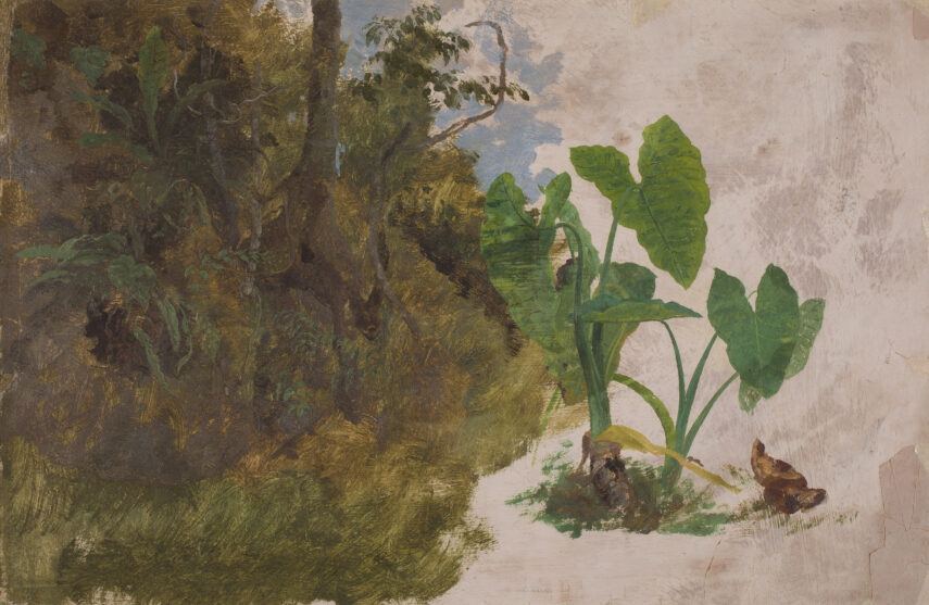 painting of a large leafy green plant against a background of light browns on the right and a forest landscape on the left