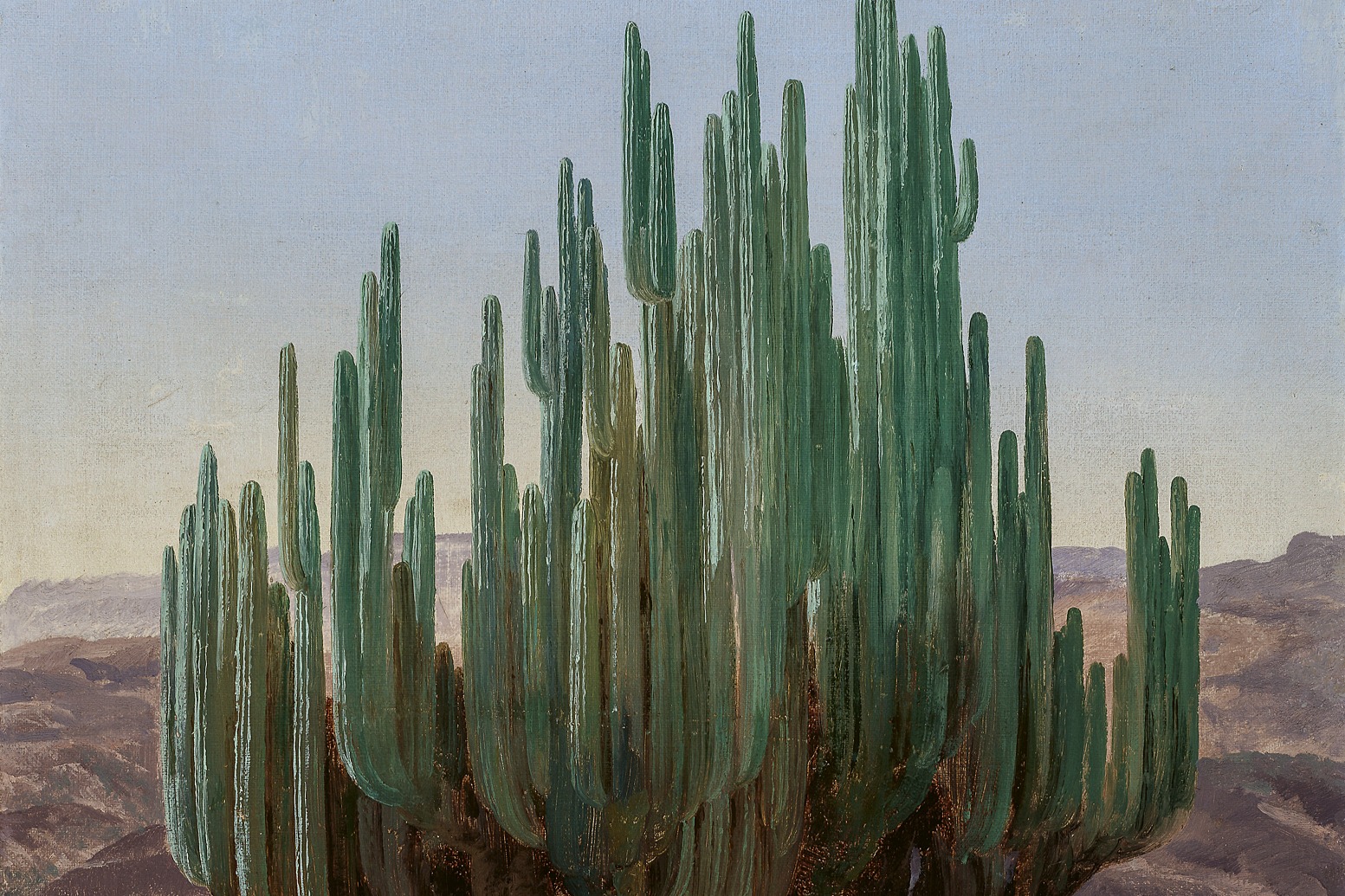 painting of a large green cactus set against a desert landscape