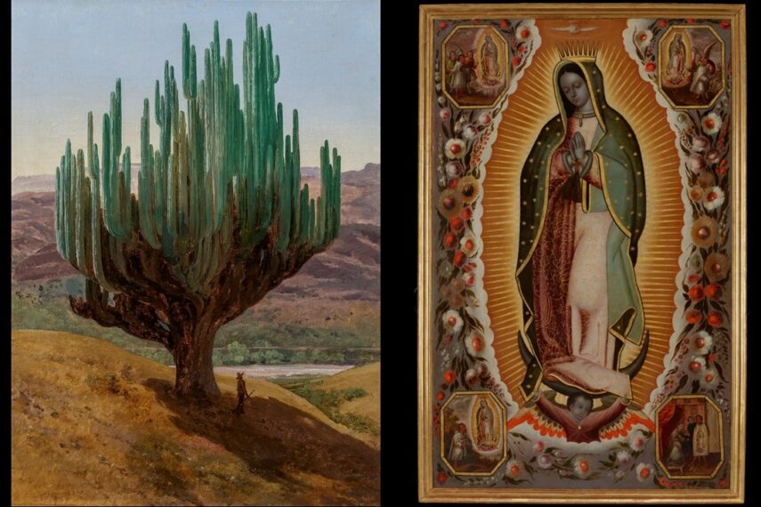 image of two paintings; on the left: a large green cactus set against a desert landscape. On the right, the Virgin of Guadalupe, a dark-skinned young woman, wearing a light-pink tunic and a star-covered blue mantle, encircled by radiant sunlight