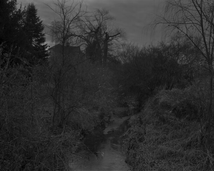 Stream running through a dark, wooded area with sparse trees.