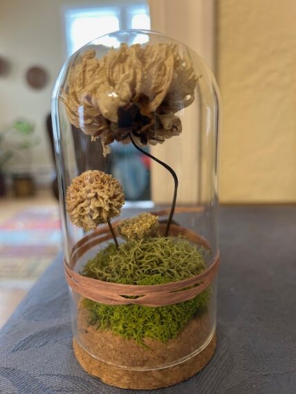 Dried flowers under a glass dome on a wooden base.