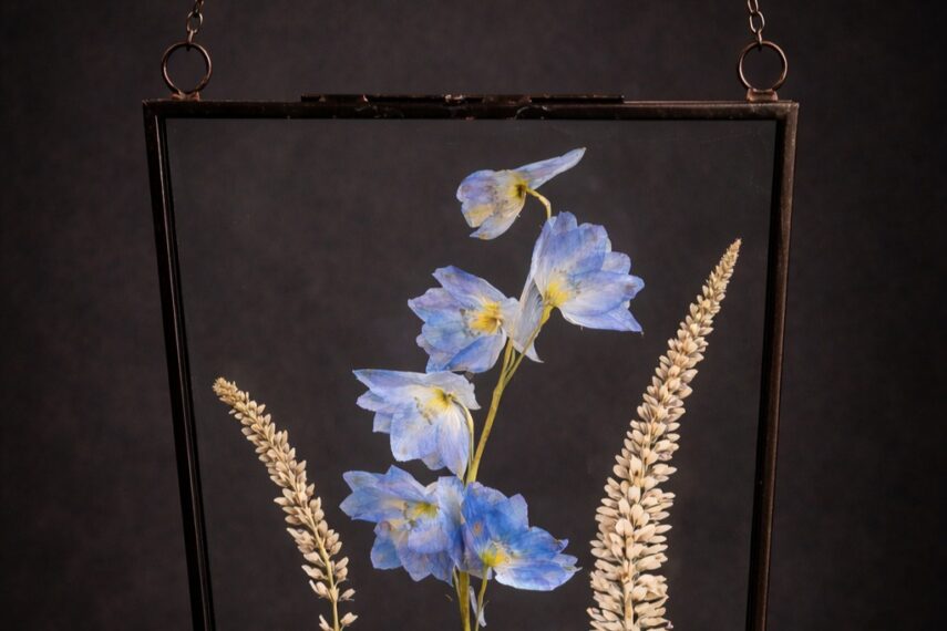 Pressed blue flowers and grasses in a hanging glass frame.