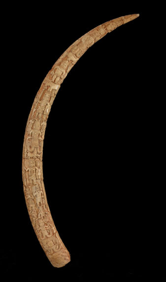Carved tusk with intricate designs on black background.