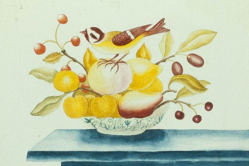 Watercolor painting of a small bird perched on top of a bowl filled with various fruits and leaves.