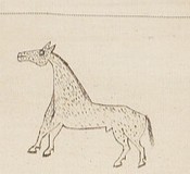 The image features a simple line drawing of a horse against a light, plain background.