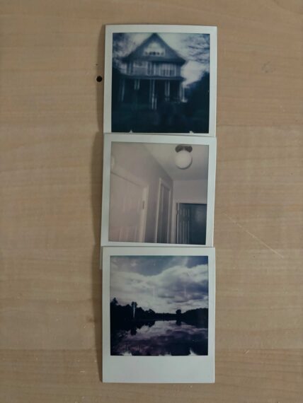 The image shows three Polaroid photos arranged vertically on a light wooden surface.