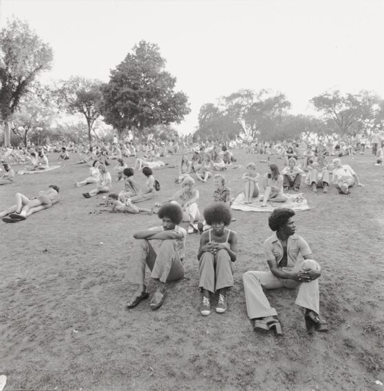 Photo of people sitting on grass in a park with trees in the background.