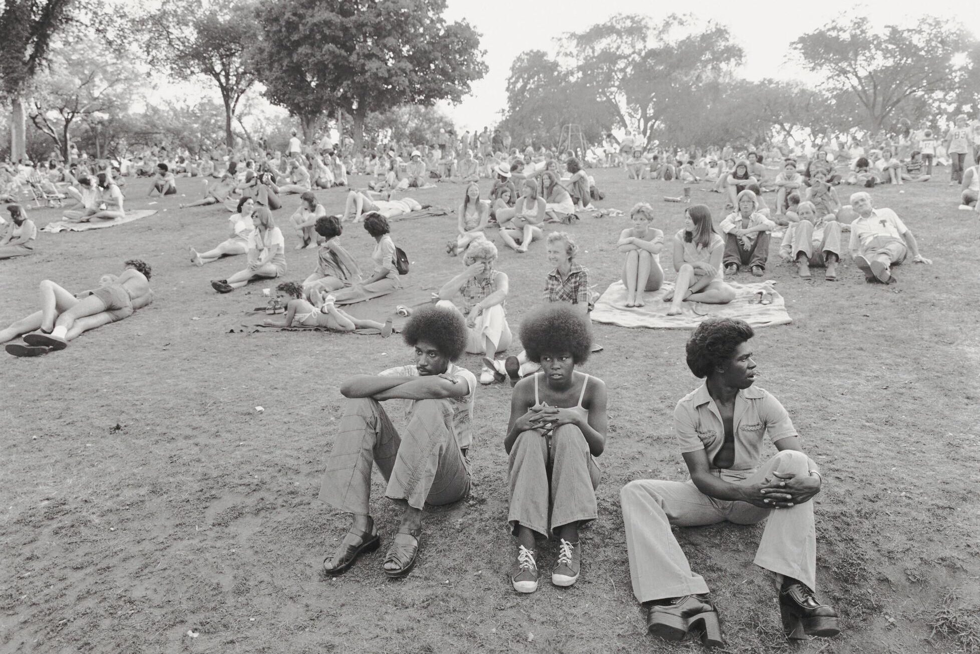 Photo of people sitting on grass in a park with trees in the background.