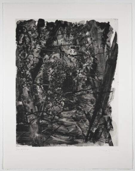 The image features an abstract artwork dominated by black and white textures.